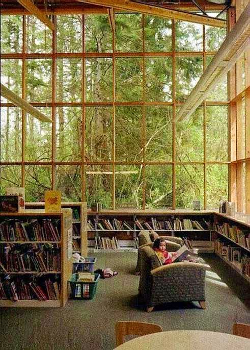 biblioteca con vetrate sul bosco